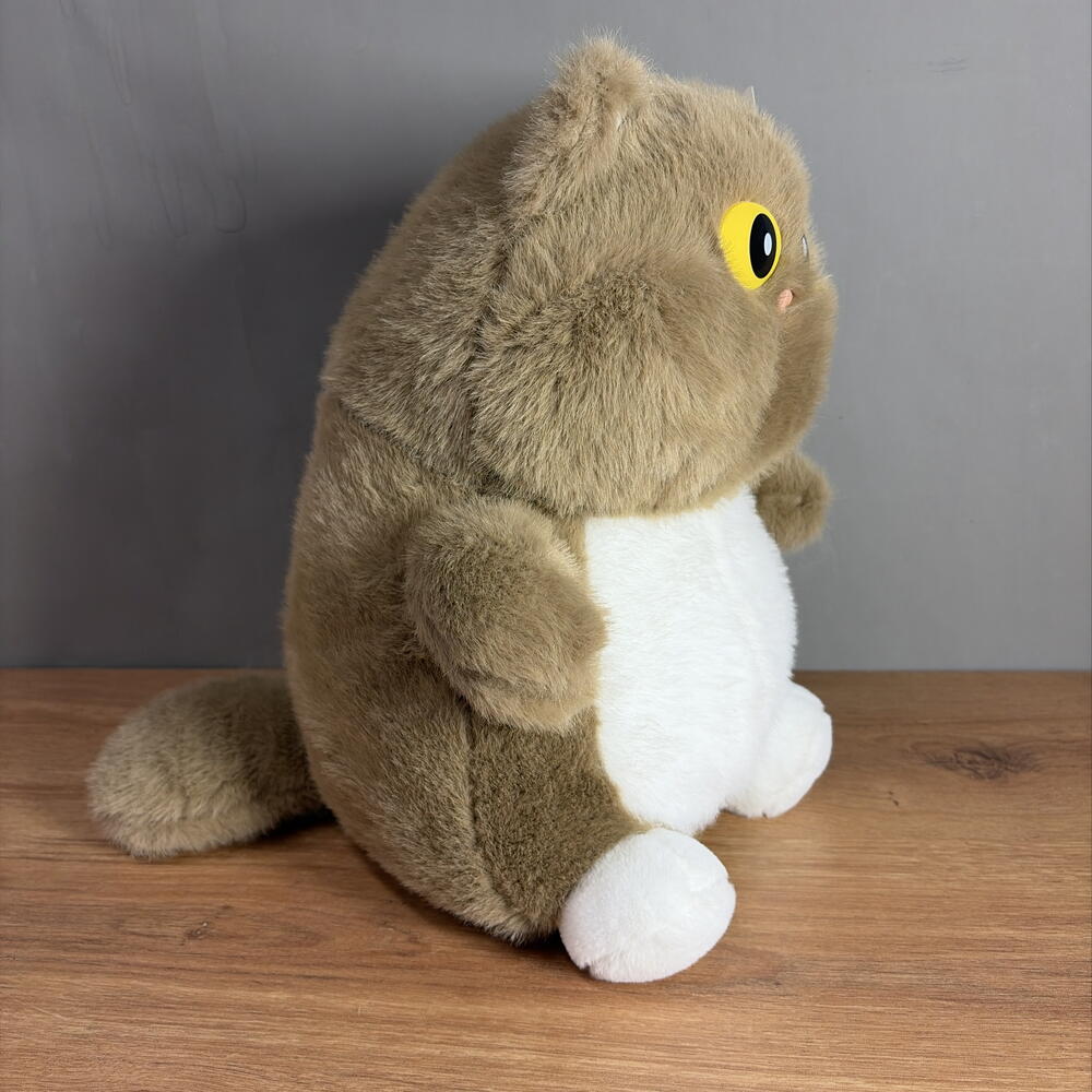 Кот с большими глазами