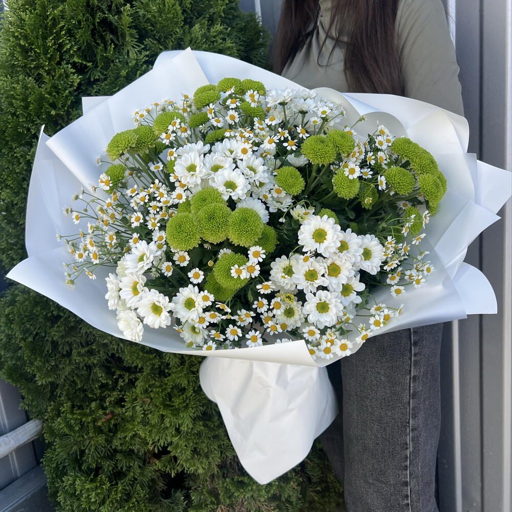 Хризантемы 💐
