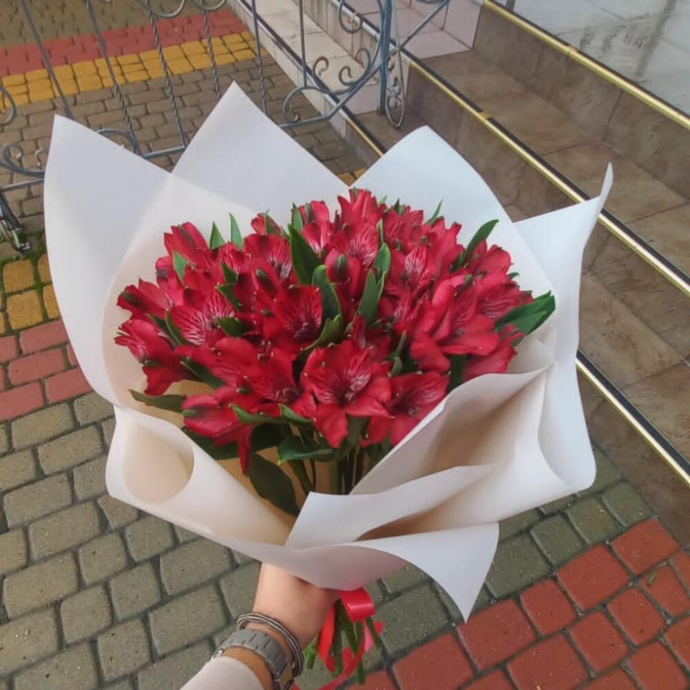 Альстромерия 7