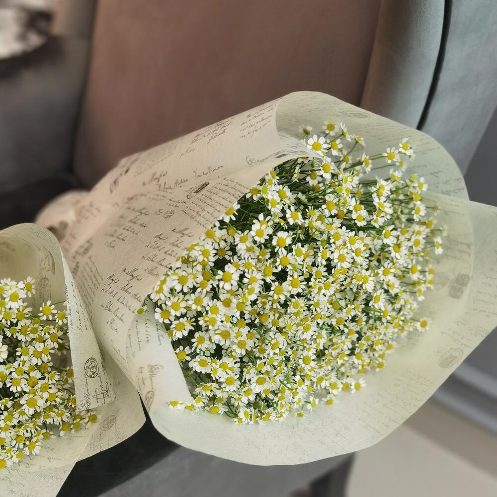 Родом из детства