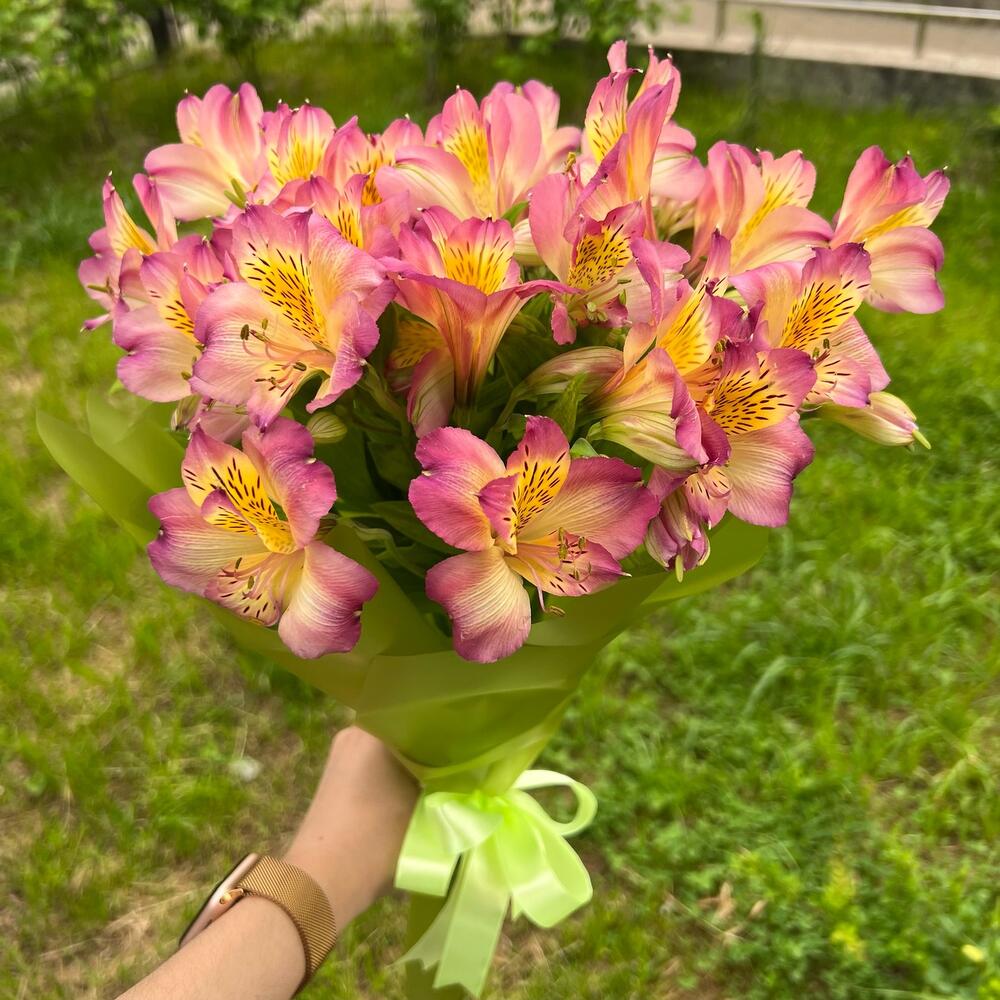 Букет альстромерия