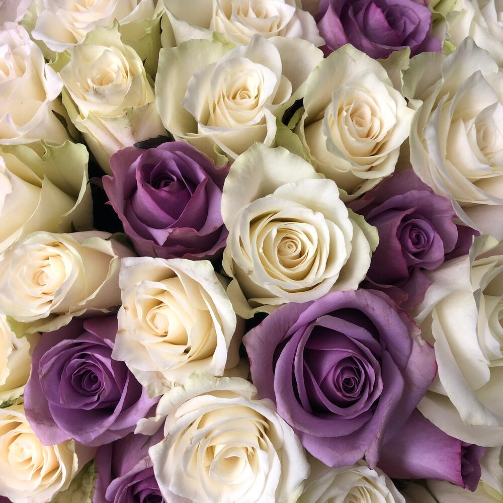 101 roses
