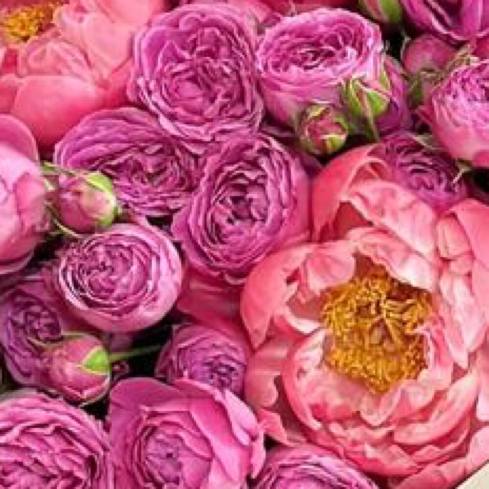 Букет пионов и пионовидных розы 🌹