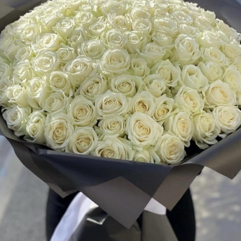 White rose
