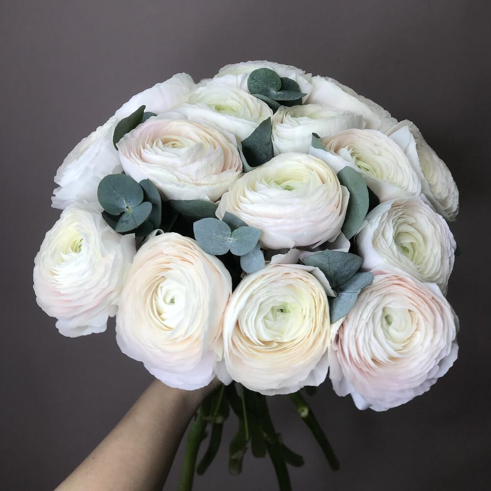 Ранункулюс 15 шт