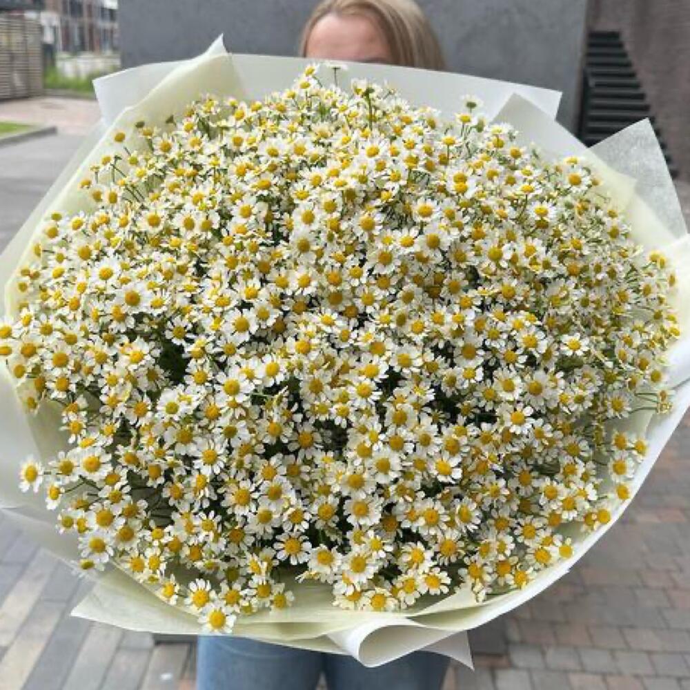 Монобукет из 21 ромашки «Танацетум»
