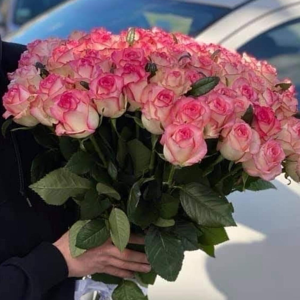 51 Роза джумилия️