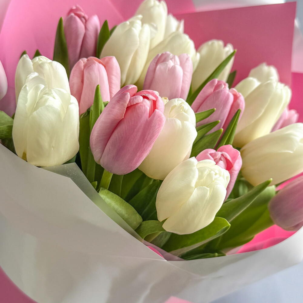 Тюльпаны 🌷