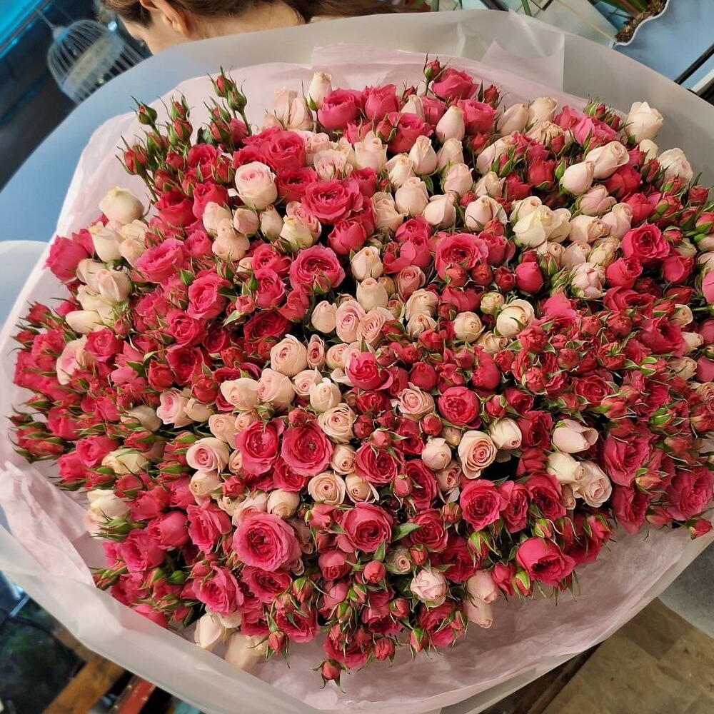 Фуксия говорит о любви 💘