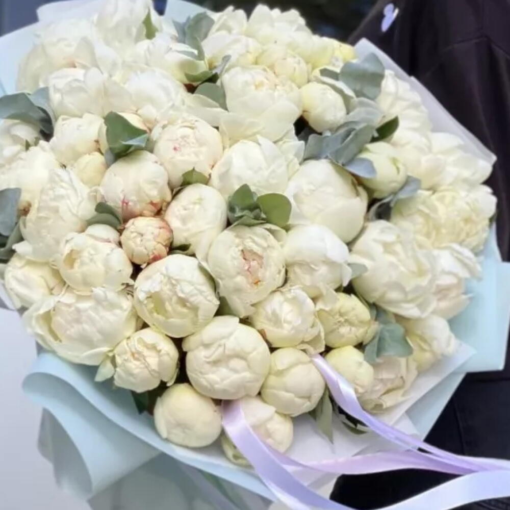 ПИОНОМАНИЯ 🤍51 белый пион 😍Белые пионы