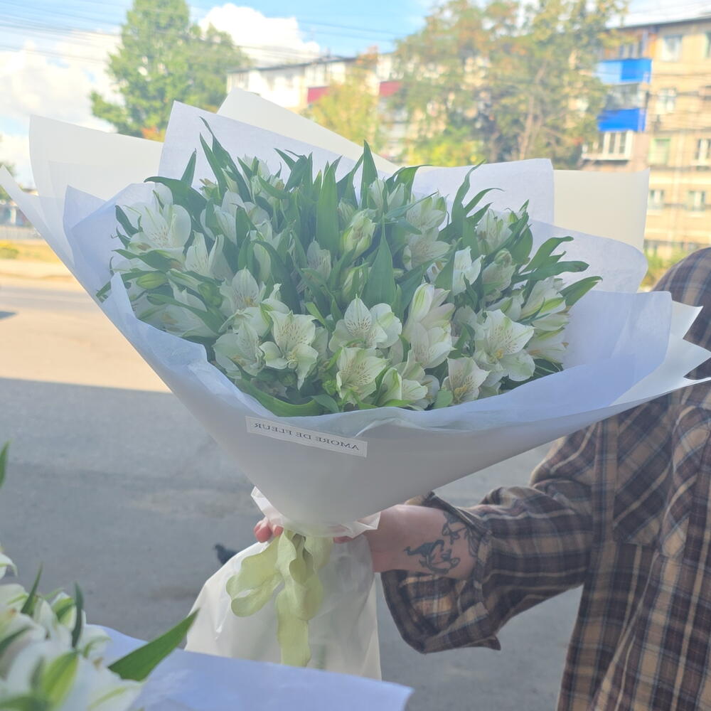 Стойкая альстромерия