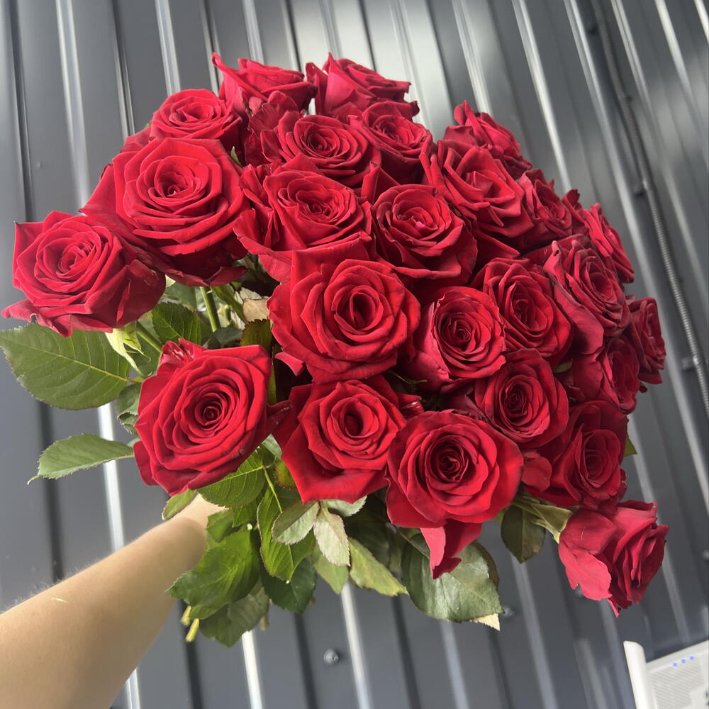 25 алых роз ♥️