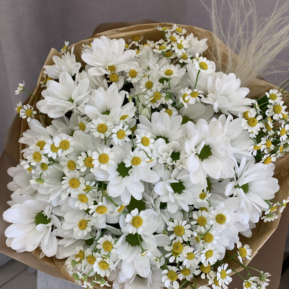 Ромашки