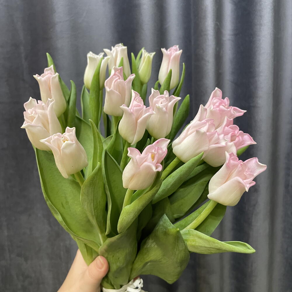 Букет для девушки из 15 тюльпанов 🌷