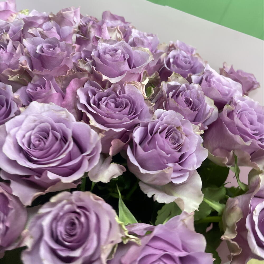 Фиолетовая Роза 25шт
