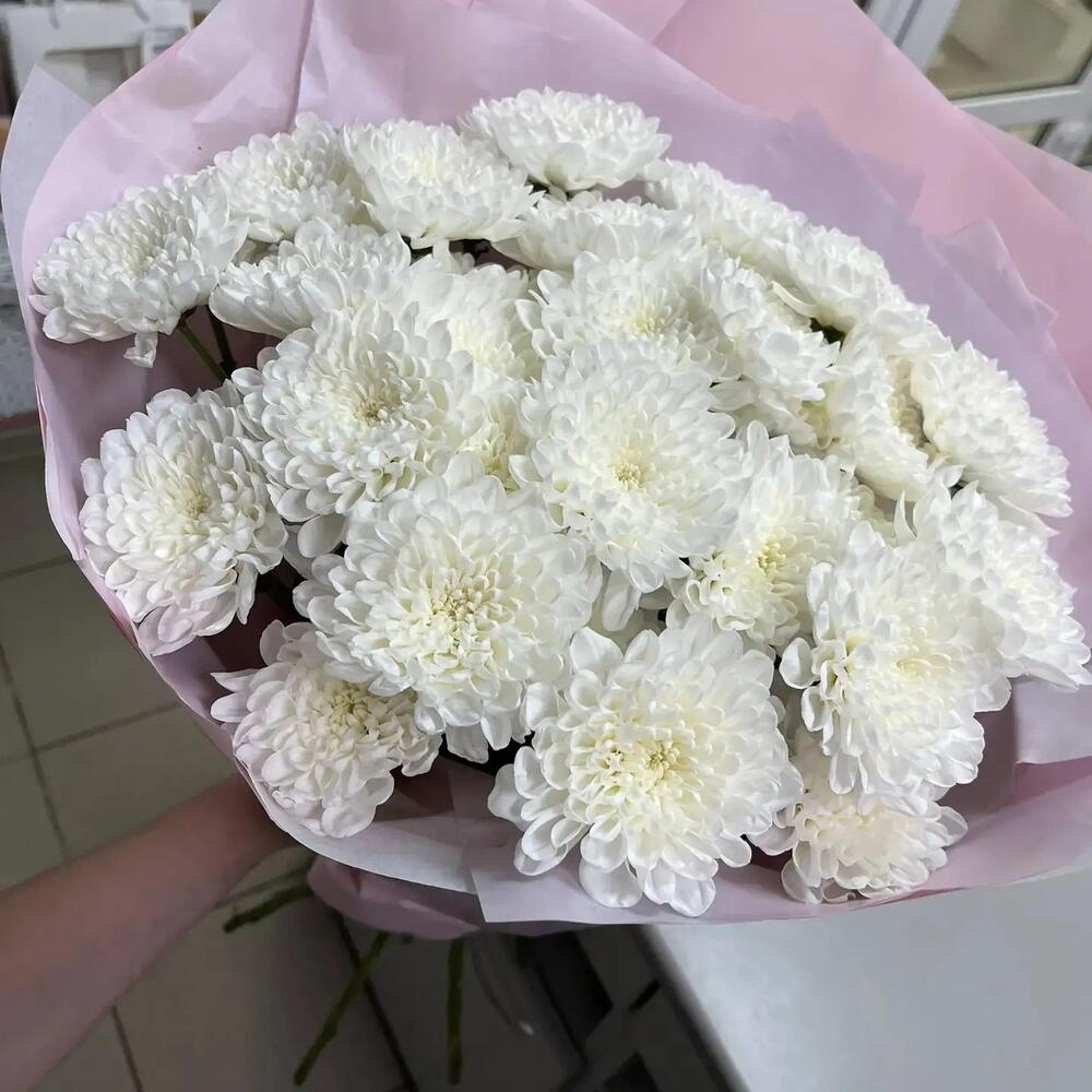 Хризантемы