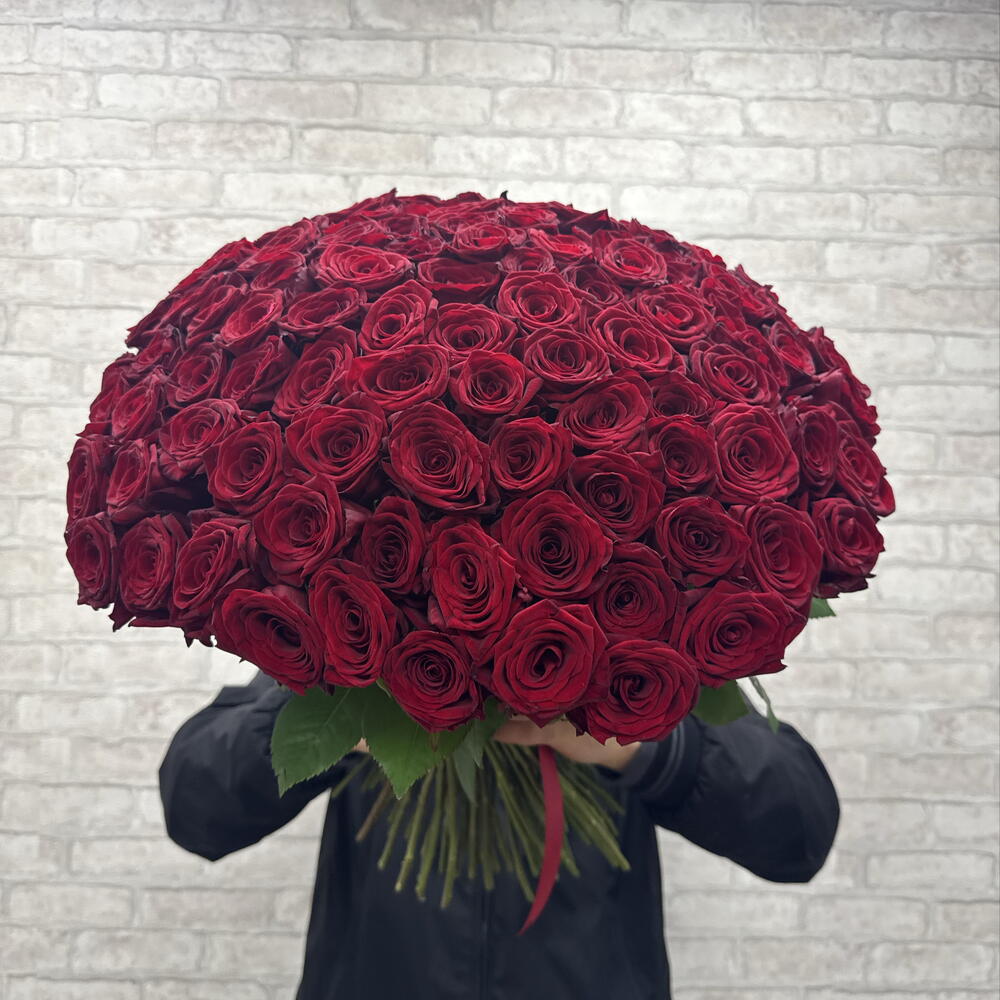 101 Роза 🌹🥰🥰🥰