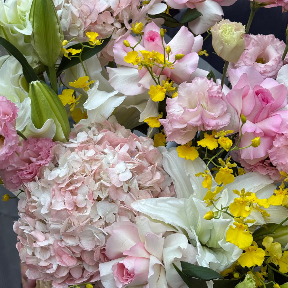 Pink Paradise