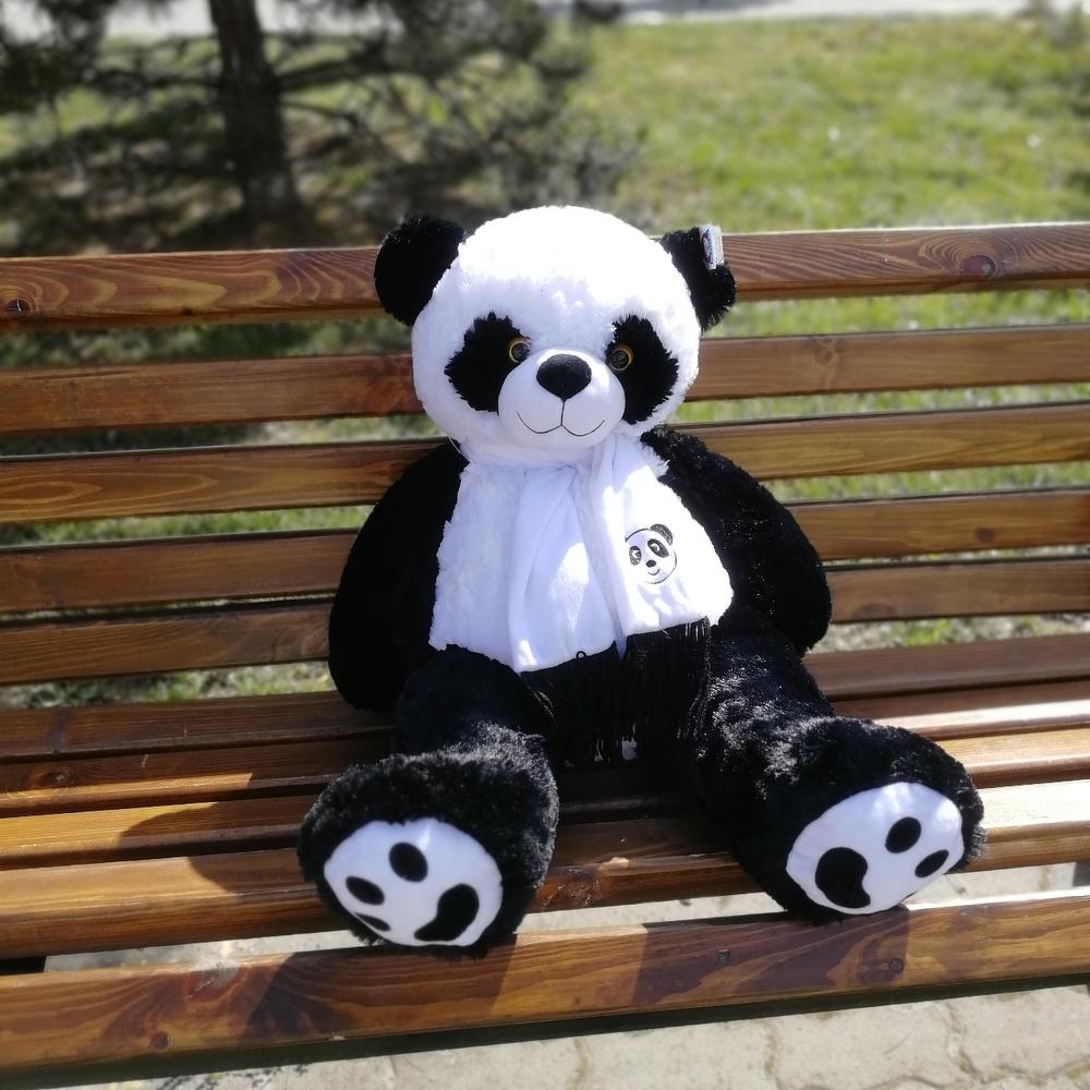 ✅ Панда 🐼