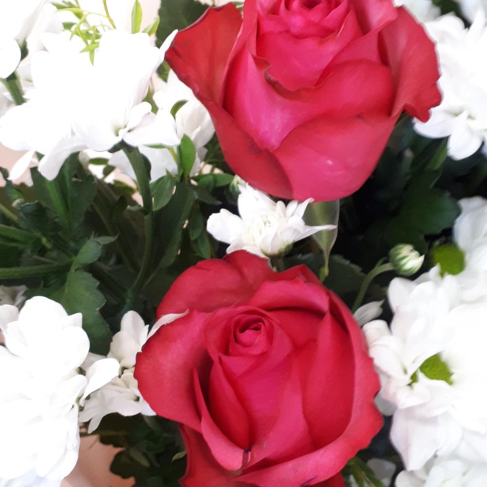 Нежность🌺