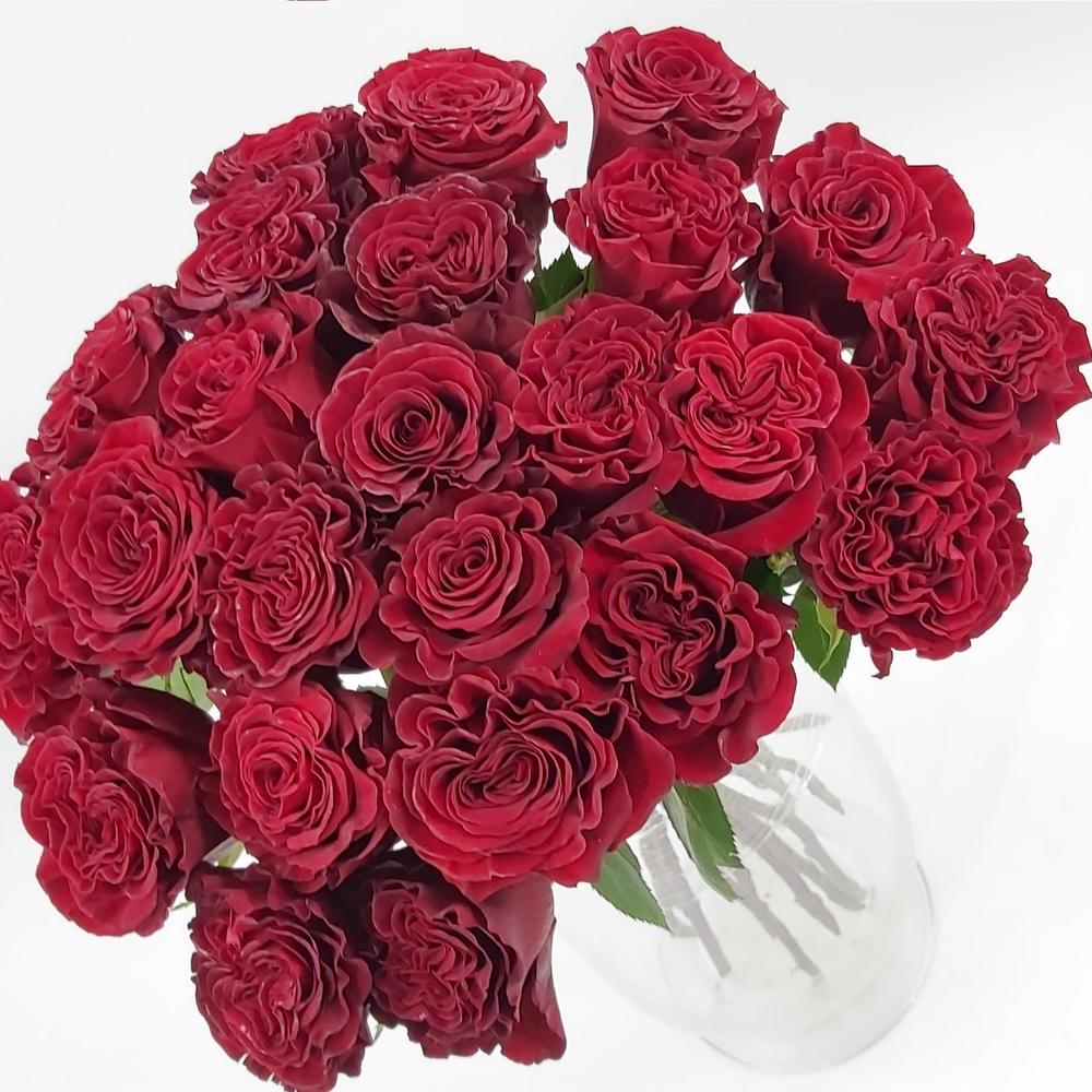 Роза Hearts 50см