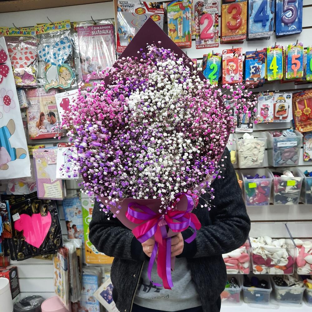 Гипсофилка