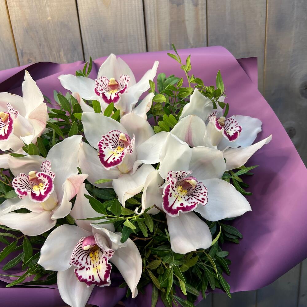 Orquídea blanca