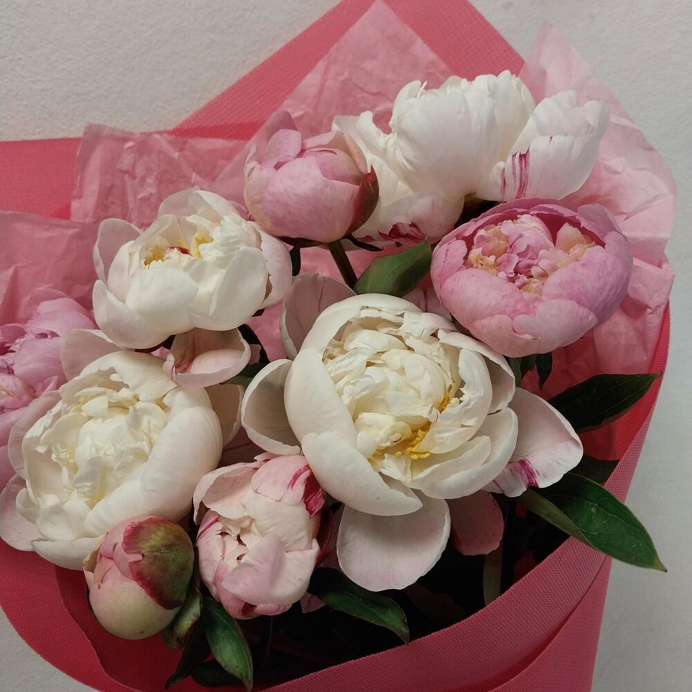 Букет из 9 розовых пионов