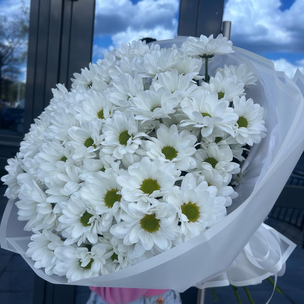 15 веток белые хризантемы