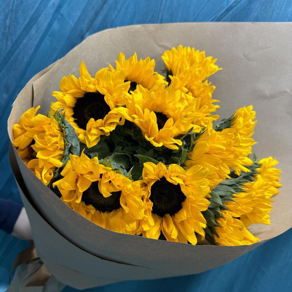 Подсолнухи 🌻 🌻