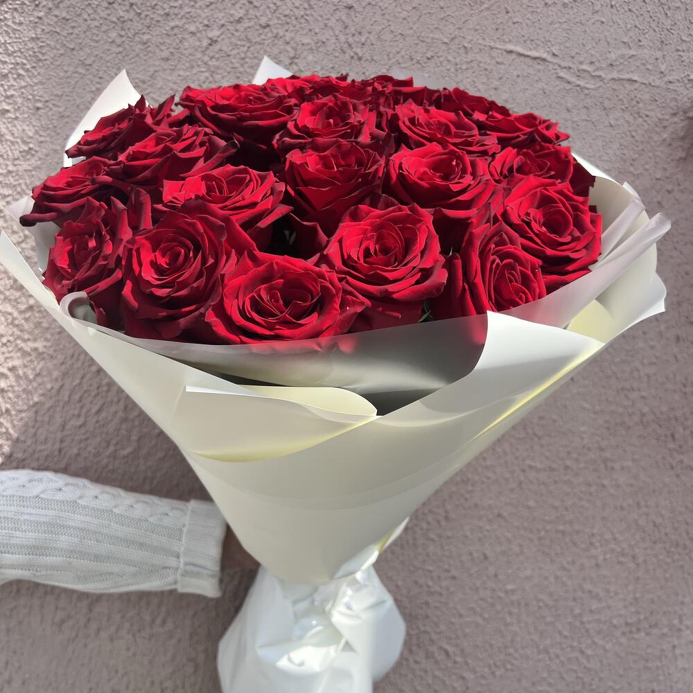 21 красная Роза 🌹