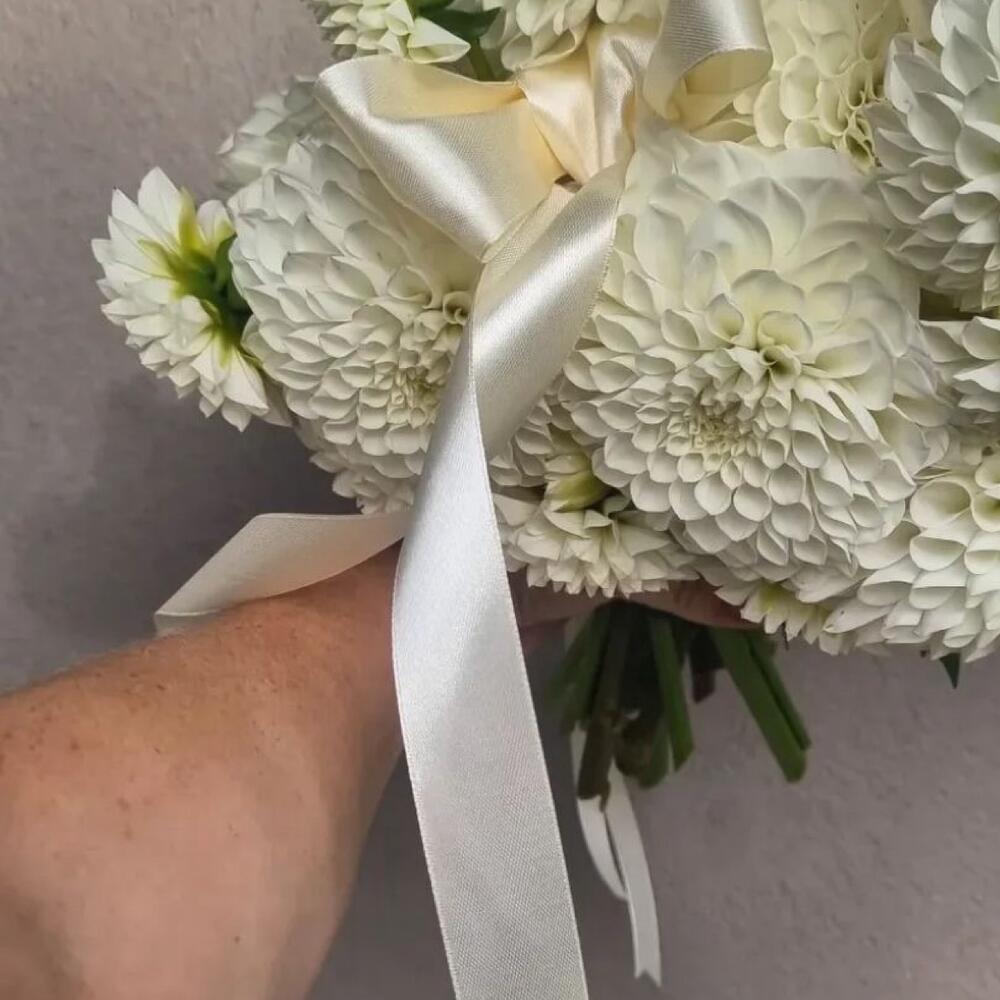 Изящные белые георгины