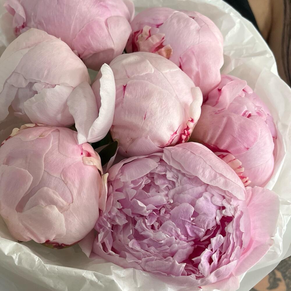 Букет из нежных Пион 🌸
