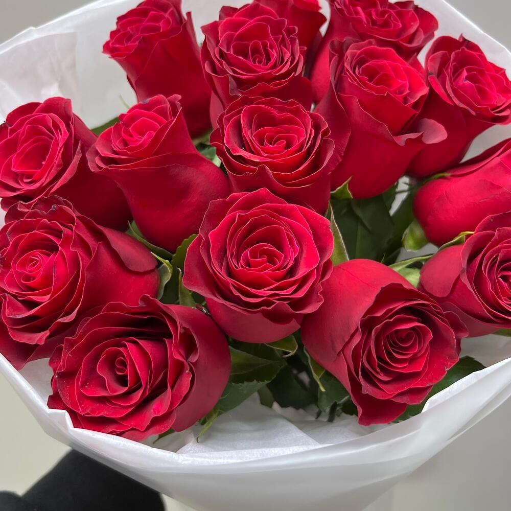 Моно из красной розы 15 штук 🌹