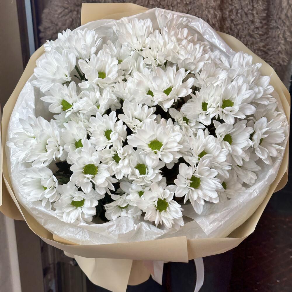 Bouquet of daisies