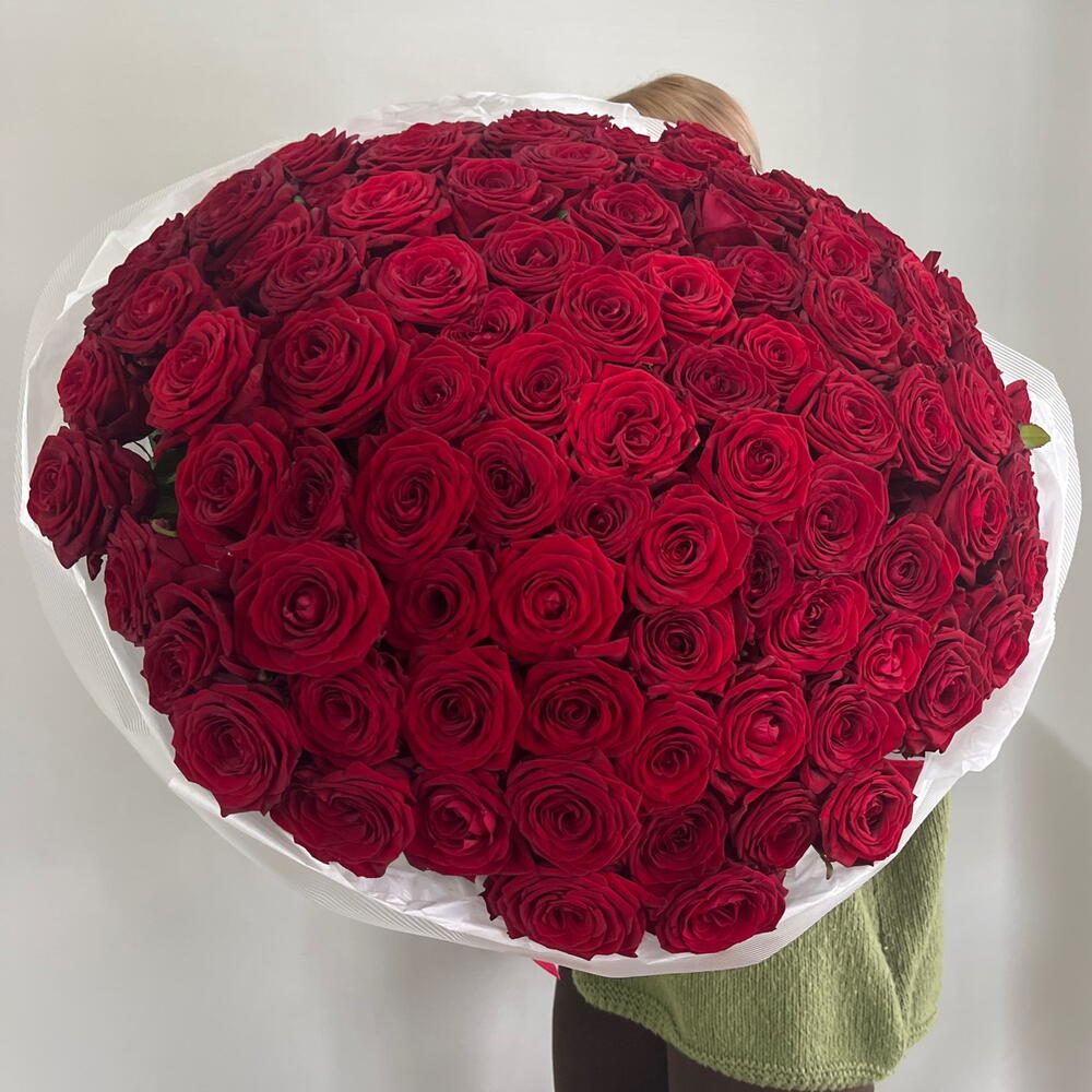 101 бордовая роза😍💋❣️