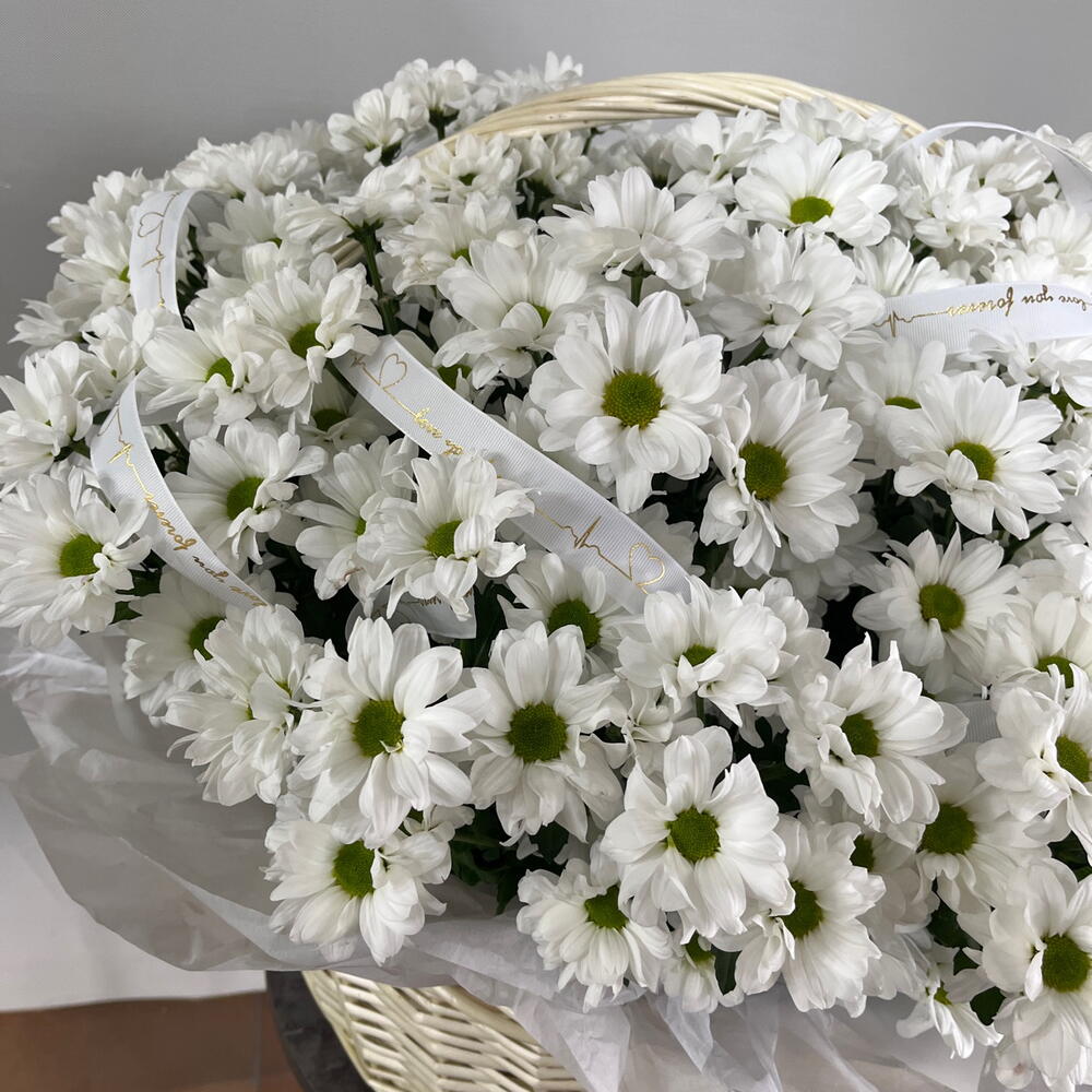 Корзина с ромашками хризантема XXXXL🤍