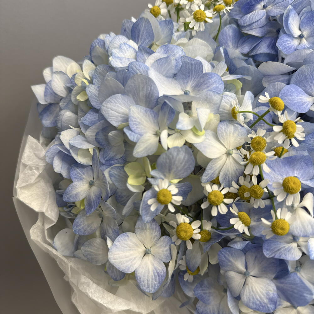 Авторский букет с гортензией и ромашками🌼