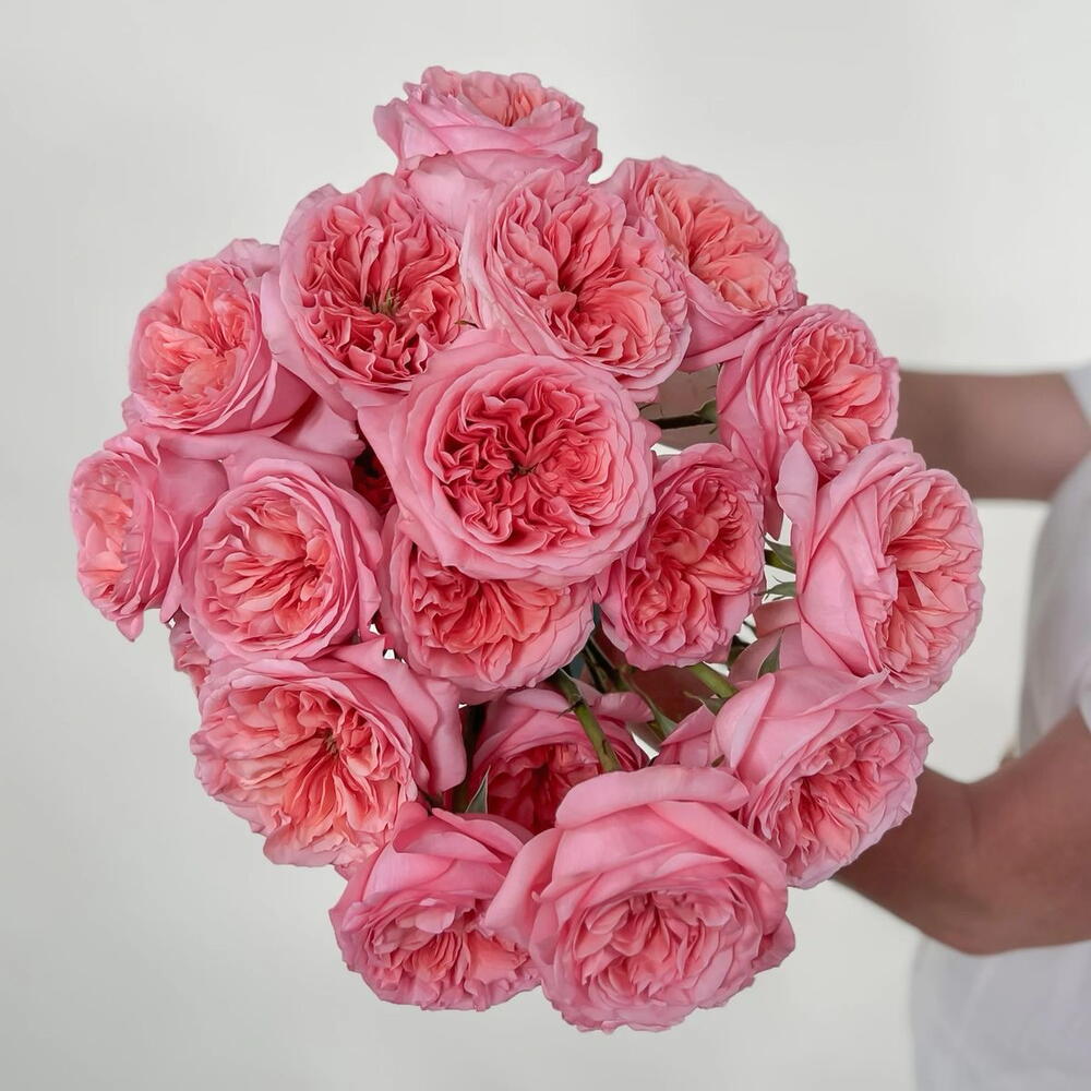 Пионовидная Роза Pink Expression