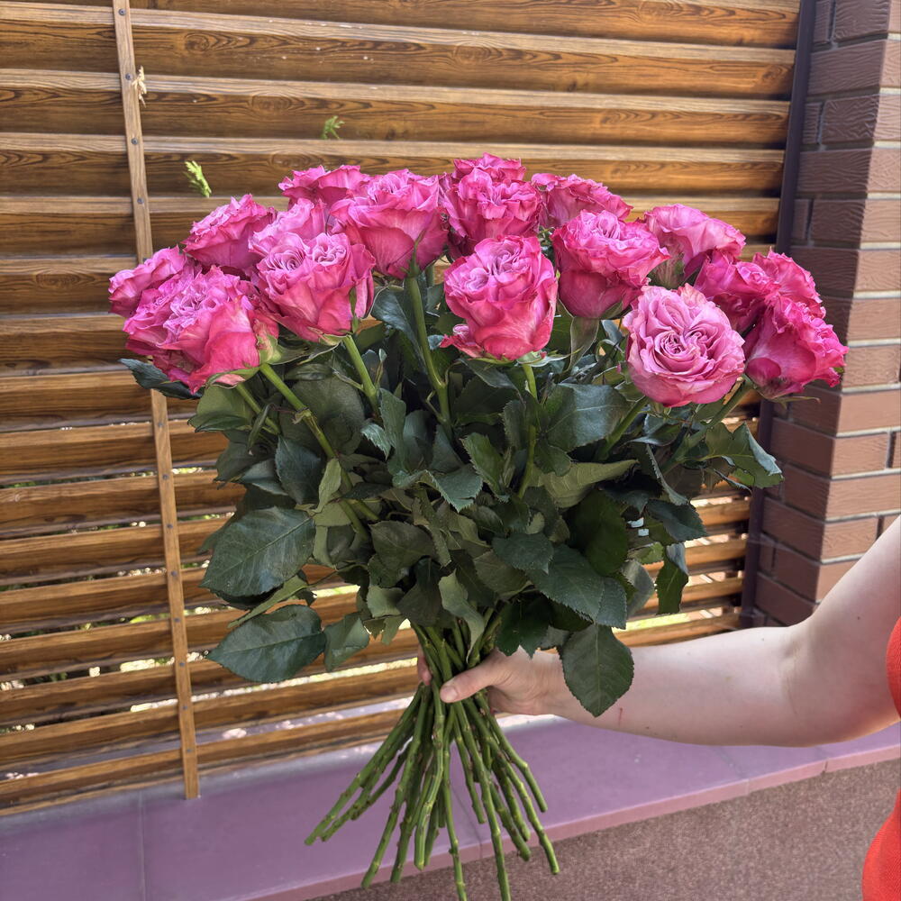 Моно букет из роз сорта Кантри Блюз 25шт