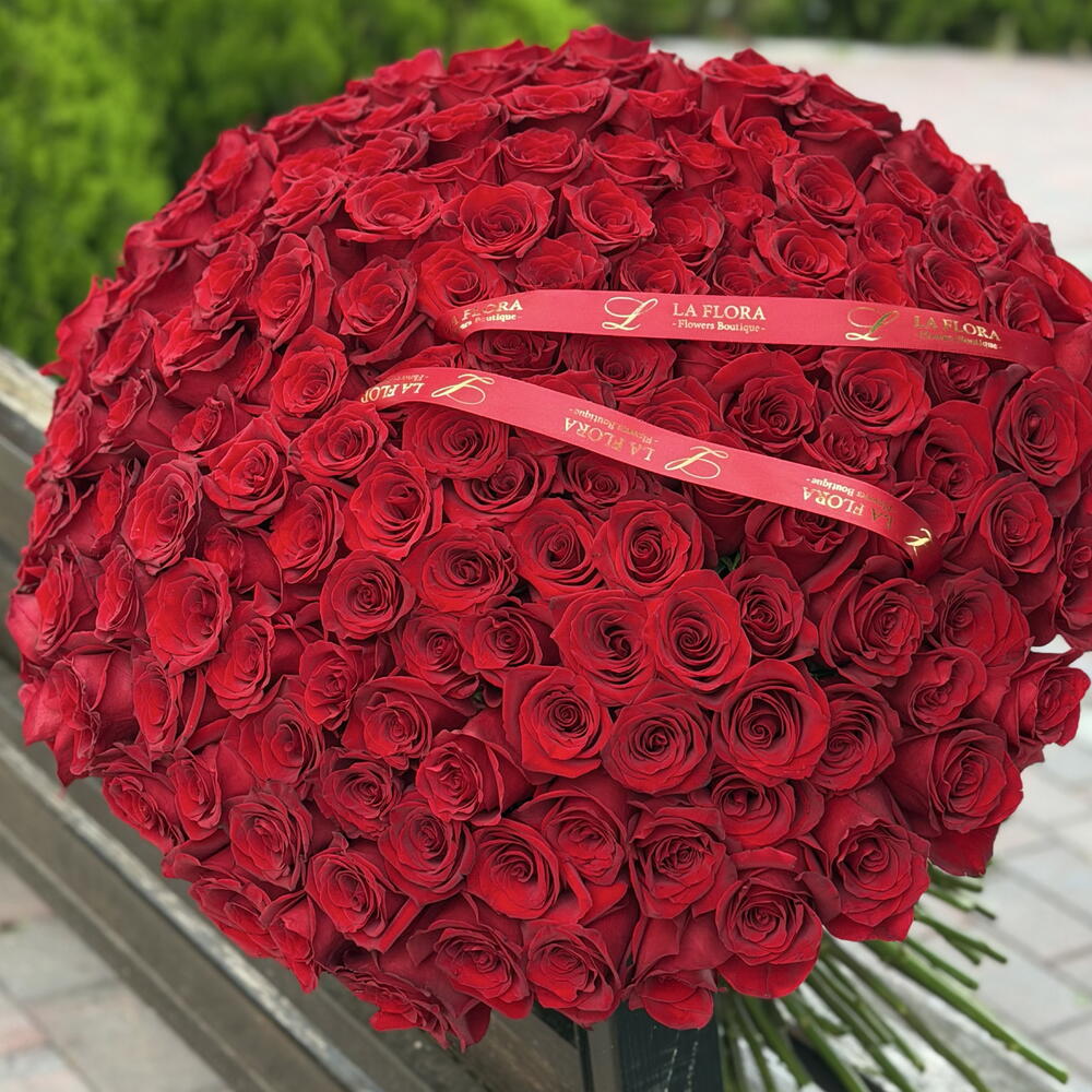 151 dutches roses