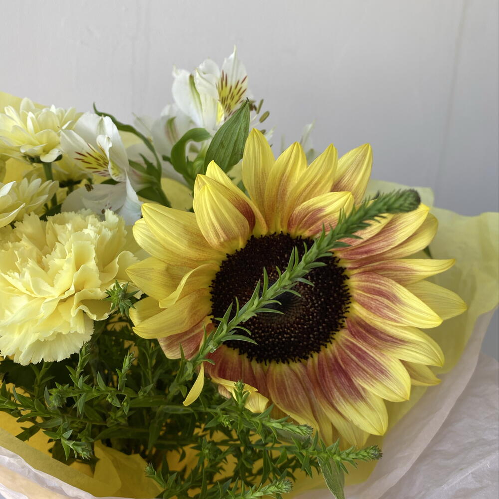 Солнечный привет 🌻️️