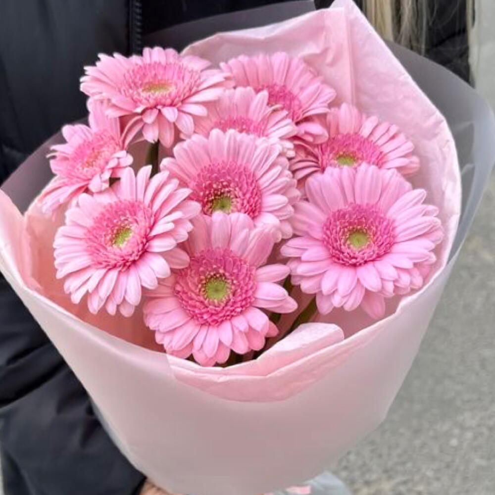 Моно 9 розовых гербер 🎀