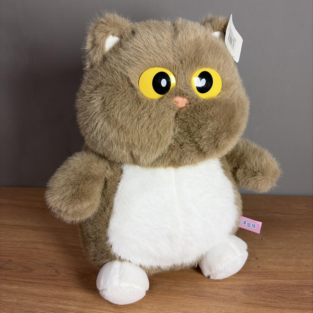 Кот с большими глазами
