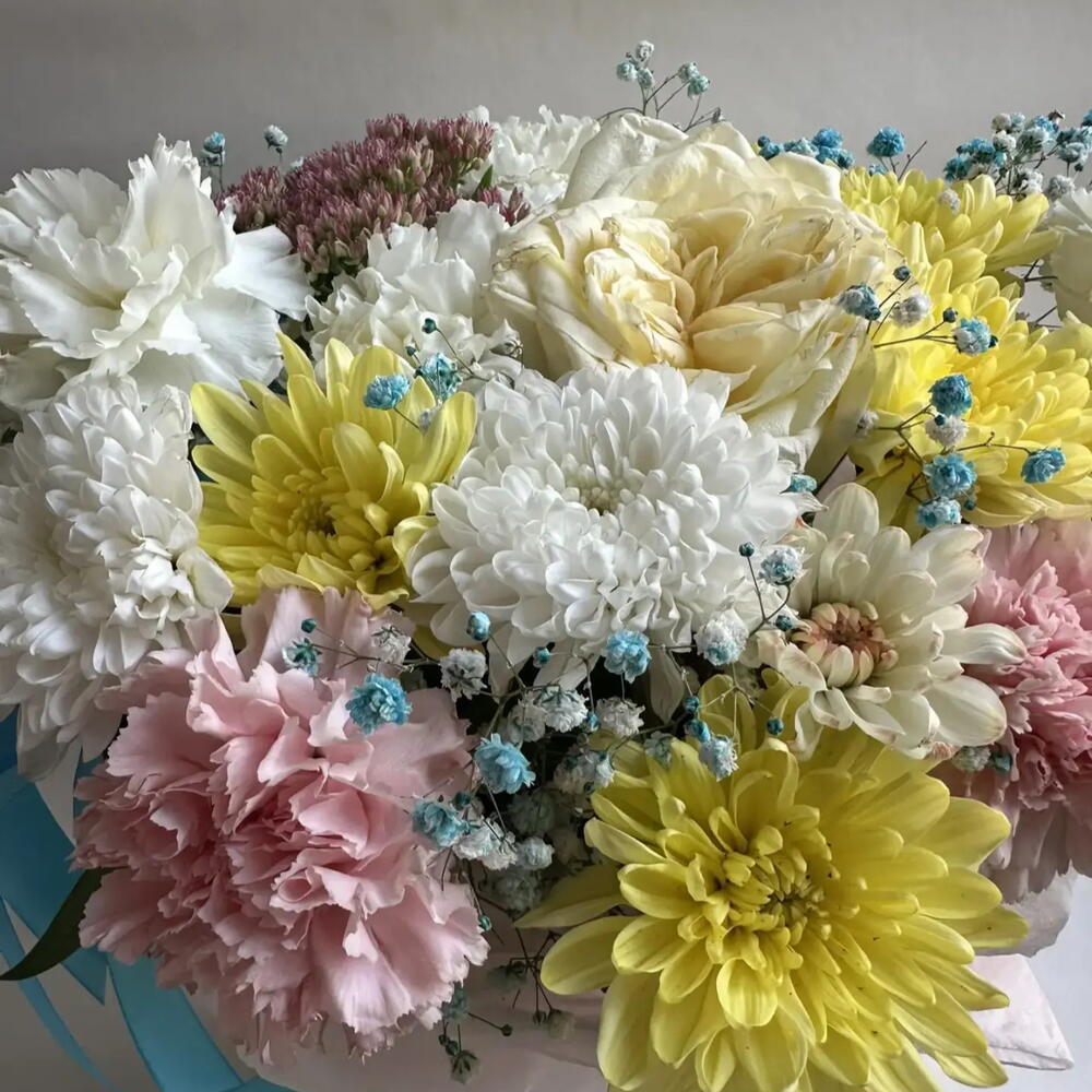 Композиция23