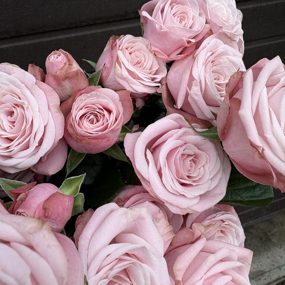 🌸 Облако нежности в ваших руках: монобукет из 5 кустовых роз