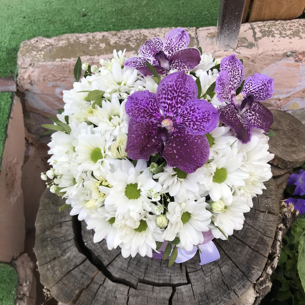 Прекрасного дня