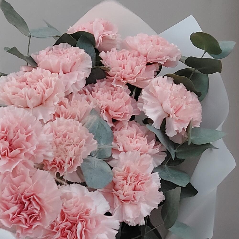 Ramo de Dianthus