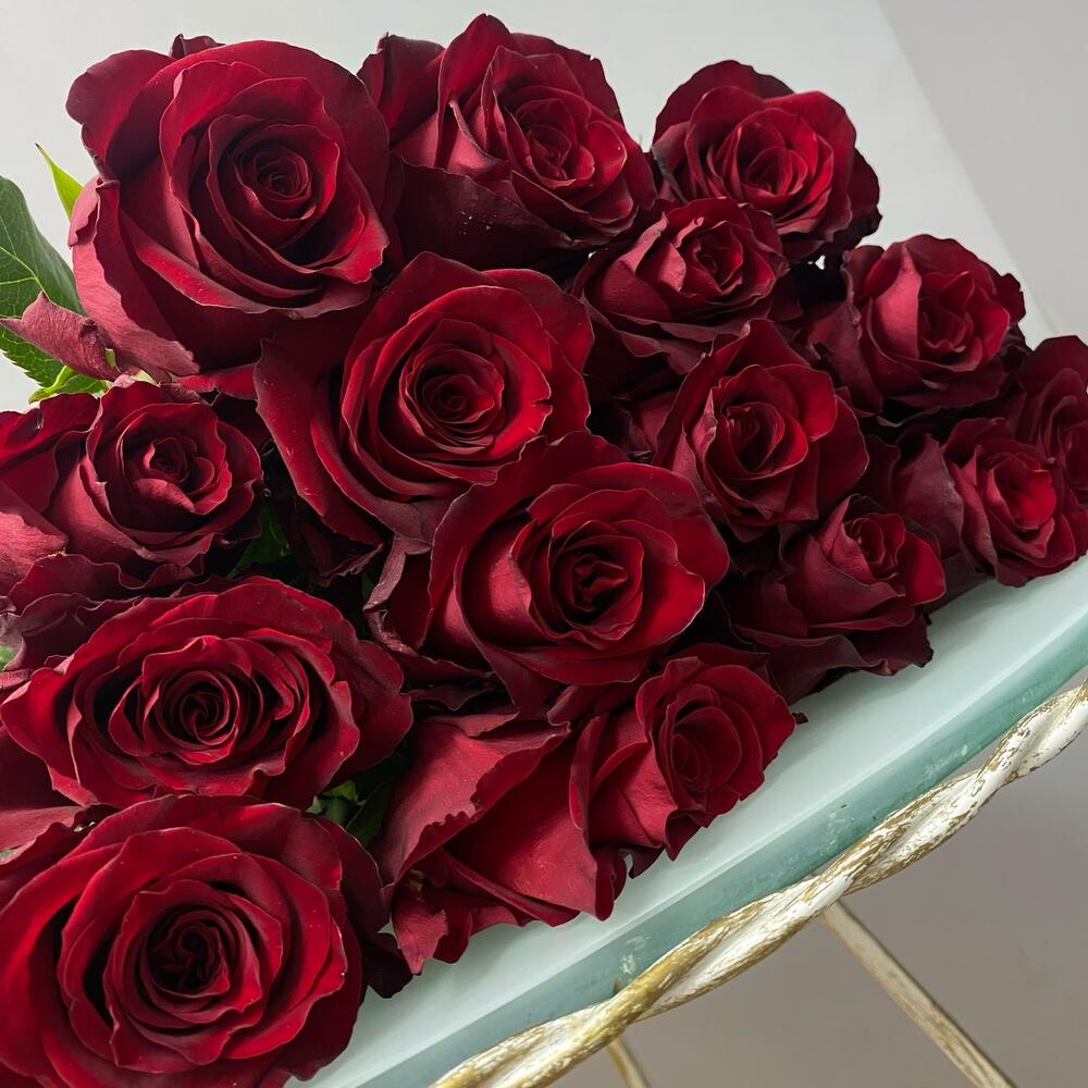 Rosa EXPLOTADOR - 70 cm
