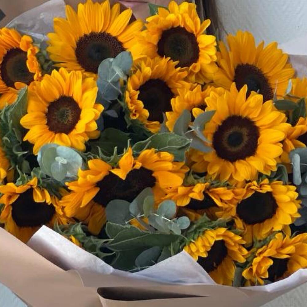 Солнечные подсолнухи 🌻